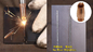 Qilin 헤드 맥스 소스 스테인리스 스틸 탄소 스틸 알루미늄 장을 위한 휴대용 섬유 레이저 용접기